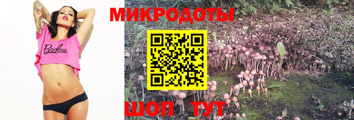 Псилоцибиновые грибы мицелий Менделеевск