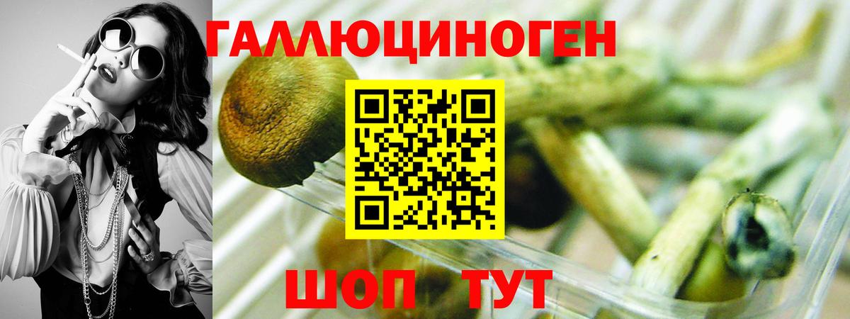 Галлюциногенные грибы Psilocybe  Псилоцибиновые грибы Cubensis  Менделеевск  Вход с VPN 