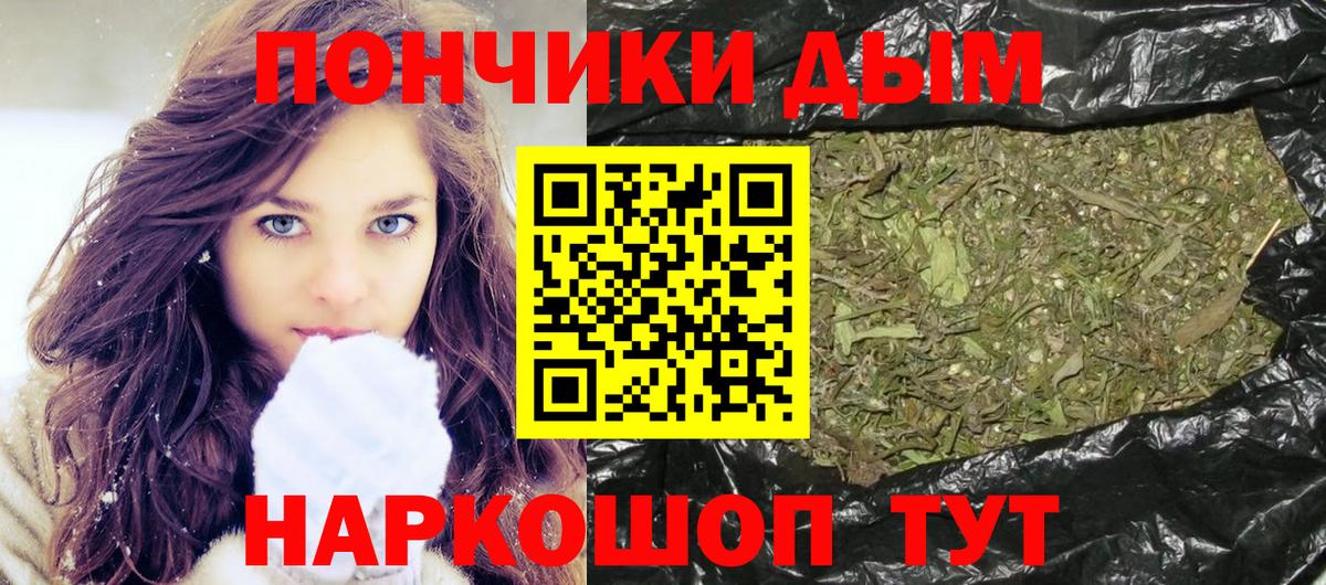 Конопля план  Бошки марихуана ГИДРОПОН  Вход с VPN  Конопля ГИДРОПОН  Менделеевск 